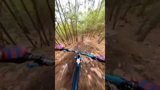 NH 'flow' #mountainbike