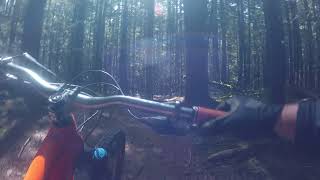 Brodie in Roberts Creek - 2019 05 19 @ 12:45pm