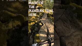 Magic of the Pleasure Trail. A true Double...