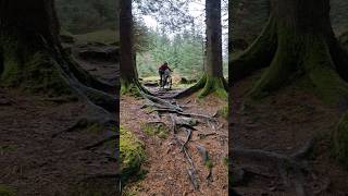 Shred the gnar  full vlog out Sunday! #shorts...