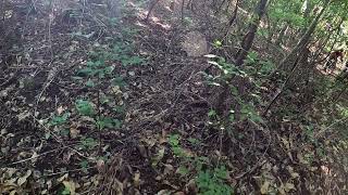 MTB DH VALLEDRANE - IDRO (BS) 2