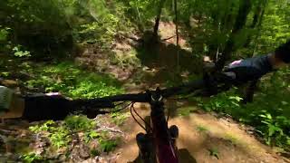 Juice - Vee Hollow Bike Park Towensend Tennessee