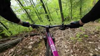 Thumper - Vee Hollow Bike Park Townsend Tennessee