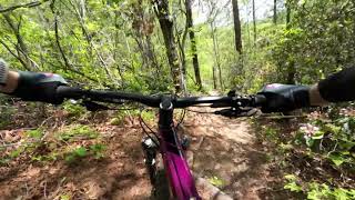 Against the Grain - Townsend Tennessee
