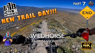 MTB Riding Wildhorse on The Palm Canyon...