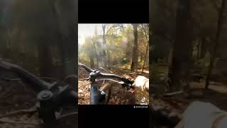 What it’s like to chew 5 Gum #5gum #mtb
