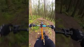 The most beautiful jump trail