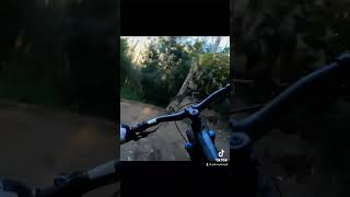 Natures corrupted #nature #corruption #mtb