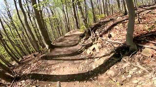 PLK Bike Parks Góra Żar trasa Easy Line 4K