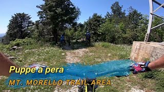 Puppe a pera, Mt. Morello (FI), 06-05-2023