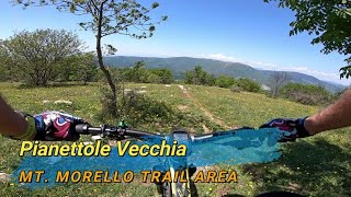 Pianettole Vecchia, Mt. Morello (FI), 06-05-2023