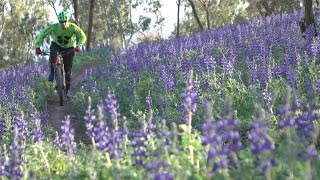 Trails in the North - Givat HaMore