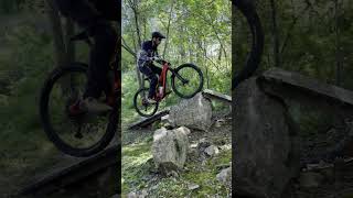 Backyard Trails Are Rad!