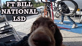 FORT WILLIAM GOLBAL WINDING - BDS
