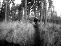 Fineshade / 30-12-2016 / Mill Wood descent