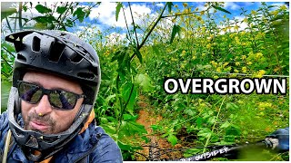 What a Nightmare This Almost Was