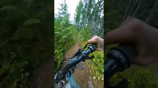 Gnarly Downhill Line! Steep And Fast. #mtb...