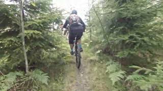 08 Sep 2022 Fast downhill trough logged forest...