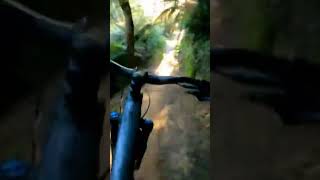 They told me to go this way #ride #bikes #mtb...