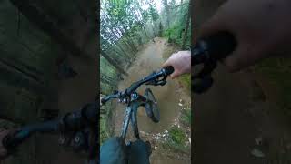 This Jump Trail is Amazing!!