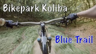 Bikepark Koliba - Blue Trail