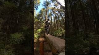 Stroll across some new features in North Shore...