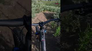 Dragon's Back Crash + Re-Try #shorts #crash...