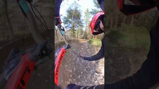 Loose Bermy Goodness at Dyfi Bike Park 
