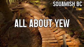 All About Yew - Squamish Mountain Biking