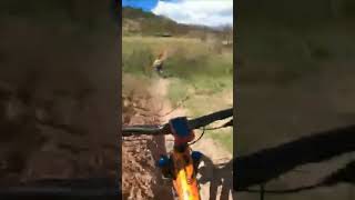 Ruta por tierra quemada  #mtb #mountainbike...