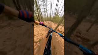 feelin fast might race might not... #mountainbike