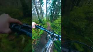 Raw, Fast, Downhill!!