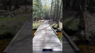 It’s a beautiful day on Singletrack!
