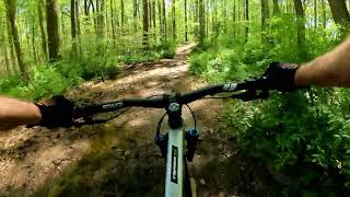Red Trail - Fair Hill | Elkton, MD