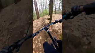 dreamy backwoods jump trail #mountainbike