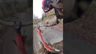 Hitting Dyfi Bike Park at warp speed!...