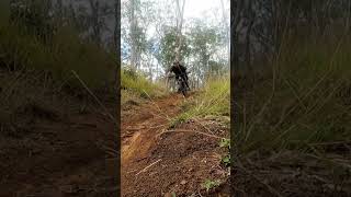 Zoomies  asmr  #mtb #bikeshorts #downhill...