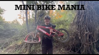MINI BIKE MANIA