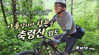 축령산 임도 라이딩  모두 D지는 줄...