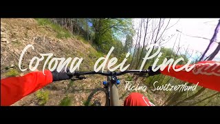 Corona dei Pinci - Ticino (Switzerland) - May...