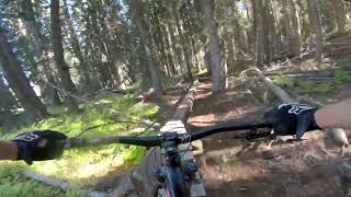 The Revival Pro Line - Iron Mountain - MTB POV