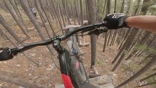 Moose Mtn SLF skinny cleared