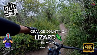 MTB Riding Lizard at El Moro, May 13, 2023