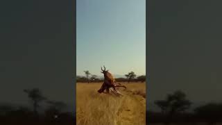 Watch OUT for the BUCK! 