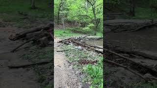 Checking out Seven Mile Creek Park because we...