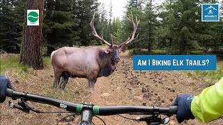 Mountain Biking Cowabunga & Cow Pond...