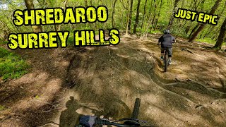 Surrey Hills Shredaroo - Land of EPIC Trails