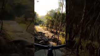 Does this Remind you of Canada ? #mountainbike...