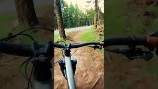 Hilariously fun trail!