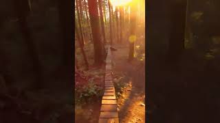 Mount Seymour Woodwork - North Shore Mountain...